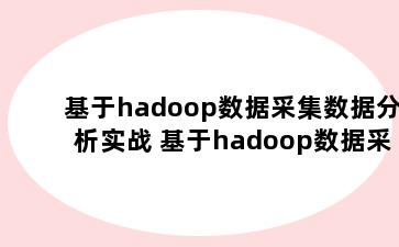 基于hadoop数据采集数据分析实战 基于hadoop数据采集数据分析实战